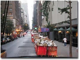 ナイトツアーに出発